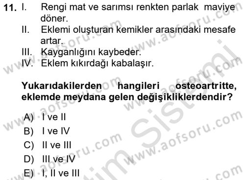 Temel Gerontoloji Dersi 2022 - 2023 Yılı Yaz Okulu Sınav Soruları 11. Soru