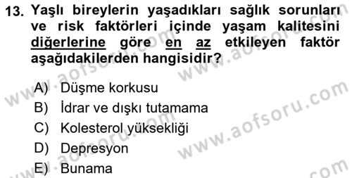Temel Gerontoloji Dersi 2022 - 2023 Yılı Yaz Okulu Sınav Soruları 13. Soru