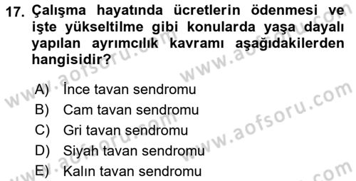 Temel Gerontoloji Dersi 2022 - 2023 Yılı Yaz Okulu Sınav Soruları 17. Soru