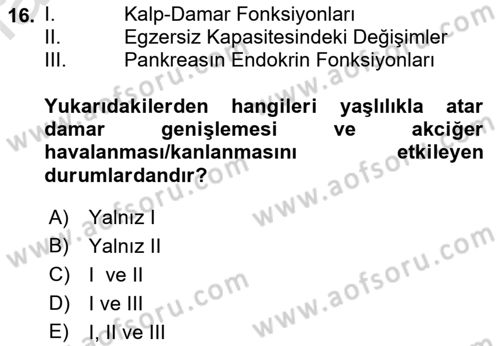 Temel Gerontoloji Dersi 2023 - 2024 Yılı (Vize) Ara Sınav Soruları 16. Soru