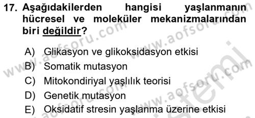 Temel Gerontoloji Dersi 2023 - 2024 Yılı (Vize) Ara Sınav Soruları 17. Soru