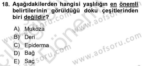 Temel Gerontoloji Dersi 2023 - 2024 Yılı (Vize) Ara Sınav Soruları 18. Soru