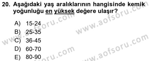 Temel Gerontoloji Dersi 2023 - 2024 Yılı (Vize) Ara Sınav Soruları 20. Soru