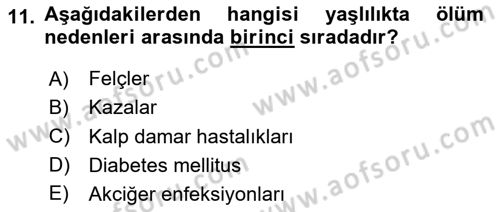 Temel Gerontoloji Dersi 2023 - 2024 Yılı Yaz Okulu Sınav Soruları 11. Soru