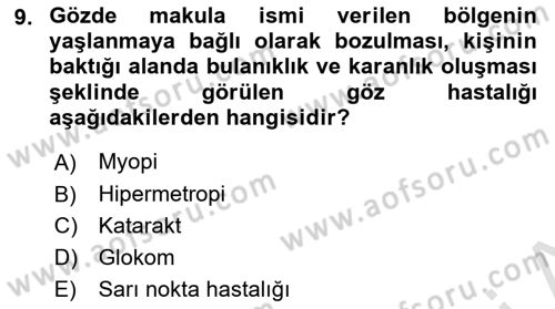 Temel Gerontoloji Dersi 2023 - 2024 Yılı Yaz Okulu Sınav Soruları 9. Soru