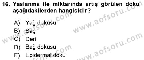 Temel Gerontoloji Dersi 2024 - 2025 Yılı (Vize) Ara Sınavı 16. Soru