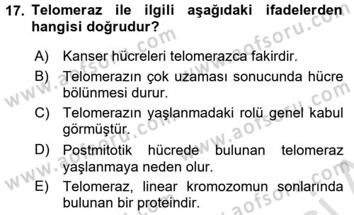 Temel Gerontoloji Dersi 2024 - 2025 Yılı (Vize) Ara Sınavı 17. Soru