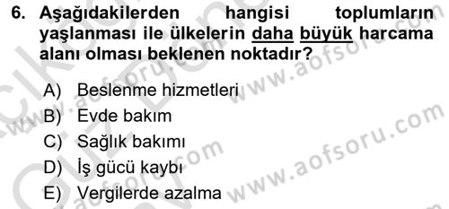 Temel Gerontoloji Dersi 2024 - 2025 Yılı (Vize) Ara Sınavı 6. Soru