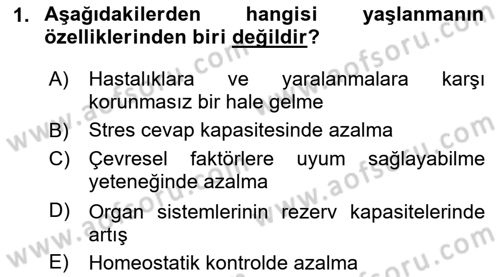 Temel Gerontoloji Dersi 2024 - 2025 Yılı Yaz Okulu Sınav Soruları 1. Soru