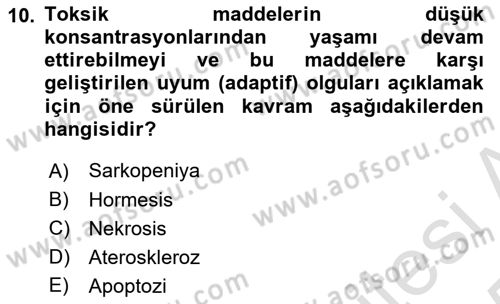 Temel Gerontoloji Dersi 2024 - 2025 Yılı Yaz Okulu Sınav Soruları 10. Soru