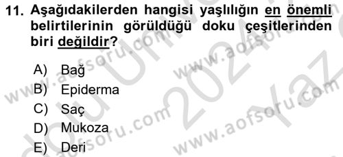 Temel Gerontoloji Dersi 2024 - 2025 Yılı Yaz Okulu Sınav Soruları 11. Soru