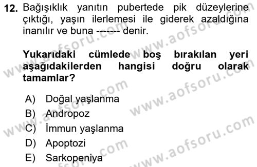 Temel Gerontoloji Dersi 2024 - 2025 Yılı Yaz Okulu Sınav Soruları 12. Soru