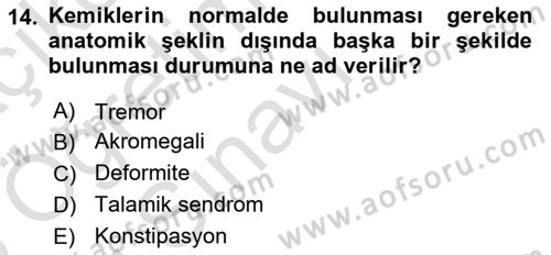 Temel Gerontoloji Dersi 2024 - 2025 Yılı Yaz Okulu Sınav Soruları 14. Soru
