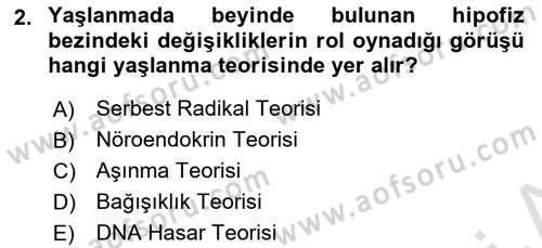 Temel Gerontoloji Dersi 2024 - 2025 Yılı Yaz Okulu Sınav Soruları 2. Soru