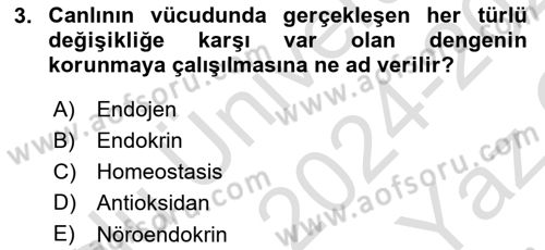Temel Gerontoloji Dersi 2024 - 2025 Yılı Yaz Okulu Sınav Soruları 3. Soru