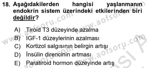 Temel Gerontoloji Dersi 2025 - 2026 Yılı (Vize) Ara Sınav Soruları 18. Soru