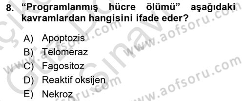 Temel Gerontoloji Dersi 2025 - 2026 Yılı (Final) Dönem Sonu Sınav Soruları 8. Soru