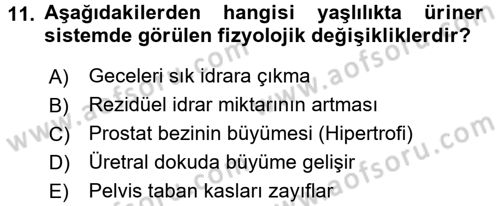 Yaşlı Bakımı İlke Ve Uygulamaları Dersi 2016 - 2017 Yılı 3 Ders Sınav Soruları 11. Soru