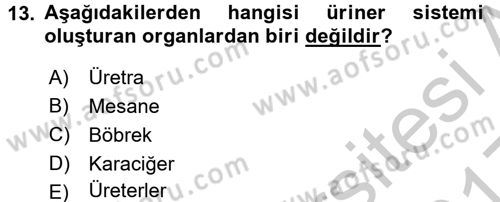 Yaşlı Bakımı İlke Ve Uygulamaları Dersi 2016 - 2017 Yılı 3 Ders Sınav Soruları 13. Soru