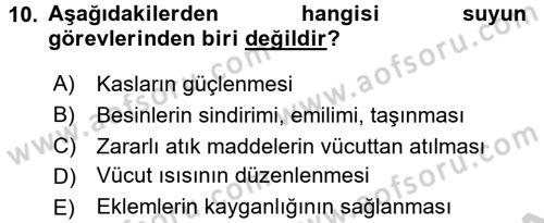 Yaşlı Bakımı İlke Ve Uygulamaları Dersi 2016 - 2017 Yılı (Vize) Ara Sınav Soruları 10. Soru