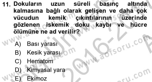 Yaşlı Bakımı İlke Ve Uygulamaları Dersi 2016 - 2017 Yılı (Vize) Ara Sınav Soruları 11. Soru