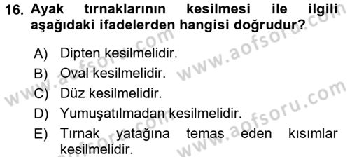 Yaşlı Bakımı İlke Ve Uygulamaları Dersi 2016 - 2017 Yılı (Vize) Ara Sınav Soruları 16. Soru