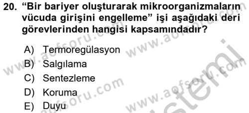 Yaşlı Bakımı İlke Ve Uygulamaları Dersi 2016 - 2017 Yılı (Vize) Ara Sınav Soruları 20. Soru