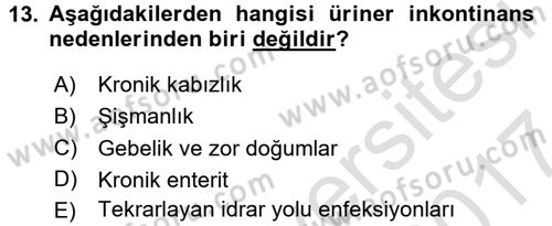 Yaşlı Bakımı İlke Ve Uygulamaları Dersi 2016 - 2017 Yılı (Final) Dönem Sonu Sınav Soruları 13. Soru