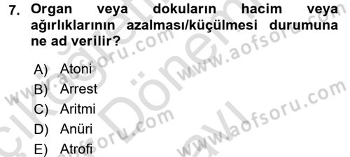 Yaşlı Bakımı İlke Ve Uygulamaları Dersi 2016 - 2017 Yılı (Final) Dönem Sonu Sınav Soruları 7. Soru
