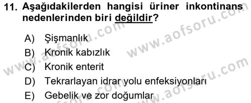Yaşlı Bakımı İlke Ve Uygulamaları Dersi 2017 - 2018 Yılı 3 Ders Sınav Soruları 11. Soru