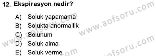 Yaşlı Bakımı İlke Ve Uygulamaları Dersi 2017 - 2018 Yılı 3 Ders Sınav Soruları 12. Soru