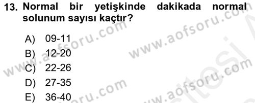 Yaşlı Bakımı İlke Ve Uygulamaları Dersi 2017 - 2018 Yılı 3 Ders Sınav Soruları 13. Soru