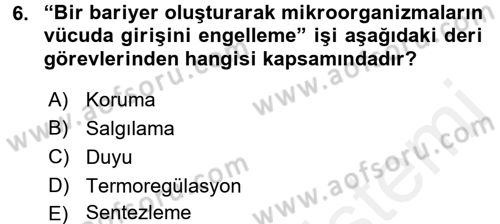 Yaşlı Bakımı İlke Ve Uygulamaları Dersi 2017 - 2018 Yılı 3 Ders Sınav Soruları 6. Soru