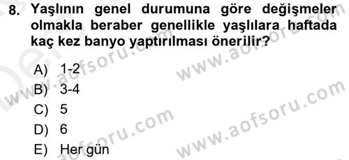 Yaşlı Bakımı İlke Ve Uygulamaları Dersi 2017 - 2018 Yılı 3 Ders Sınav Soruları 8. Soru