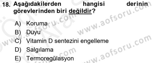 Yaşlı Bakımı İlke Ve Uygulamaları Dersi 2017 - 2018 Yılı (Vize) Ara Sınav Soruları 18. Soru