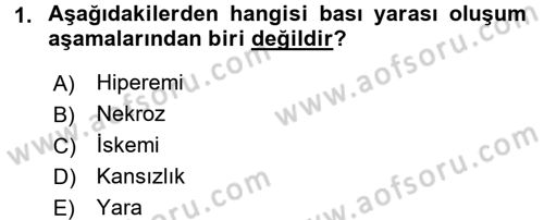 Yaşlı Bakımı İlke Ve Uygulamaları Dersi 2017 - 2018 Yılı (Final) Dönem Sonu Sınav Soruları 1. Soru