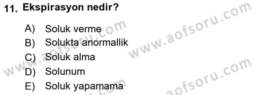 Yaşlı Bakımı İlke Ve Uygulamaları Dersi 2018 - 2019 Yılı 3 Ders Sınav Soruları 11. Soru