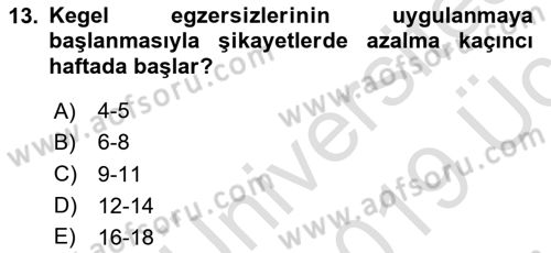 Yaşlı Bakımı İlke Ve Uygulamaları Dersi 2018 - 2019 Yılı 3 Ders Sınav Soruları 13. Soru