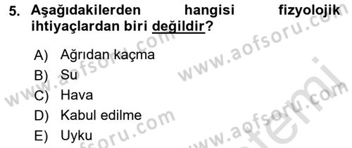 Yaşlı Bakımı İlke Ve Uygulamaları Dersi 2018 - 2019 Yılı 3 Ders Sınav Soruları 5. Soru