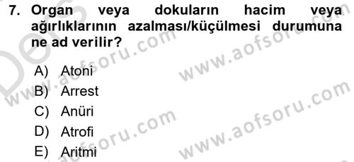Yaşlı Bakımı İlke Ve Uygulamaları Dersi 2018 - 2019 Yılı 3 Ders Sınav Soruları 7. Soru