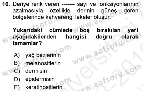 Yaşlı Bakımı İlke Ve Uygulamaları Dersi 2018 - 2019 Yılı (Vize) Ara Sınav Soruları 16. Soru