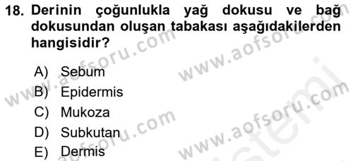 Yaşlı Bakımı İlke Ve Uygulamaları Dersi 2018 - 2019 Yılı (Vize) Ara Sınav Soruları 18. Soru