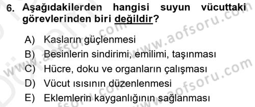 Yaşlı Bakımı İlke Ve Uygulamaları Dersi 2018 - 2019 Yılı (Vize) Ara Sınav Soruları 6. Soru
