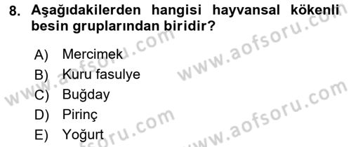 Yaşlı Bakımı İlke Ve Uygulamaları Dersi 2018 - 2019 Yılı (Vize) Ara Sınav Soruları 8. Soru