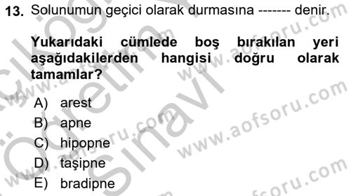 Yaşlı Bakımı İlke Ve Uygulamaları Dersi 2018 - 2019 Yılı Yaz Okulu Sınav Soruları 13. Soru