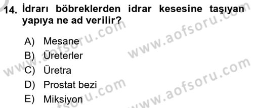 Yaşlı Bakımı İlke Ve Uygulamaları Dersi 2018 - 2019 Yılı Yaz Okulu Sınav Soruları 14. Soru