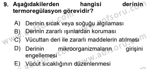 Yaşlı Bakımı İlke Ve Uygulamaları Dersi 2020 - 2021 Yılı Yaz Okulu Sınav Soruları 9. Soru