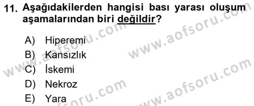 Yaşlı Bakımı İlke Ve Uygulamaları Dersi 2021 - 2022 Yılı (Vize) Ara Sınav Soruları 11. Soru