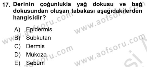 Yaşlı Bakımı İlke Ve Uygulamaları Dersi 2021 - 2022 Yılı (Vize) Ara Sınav Soruları 17. Soru