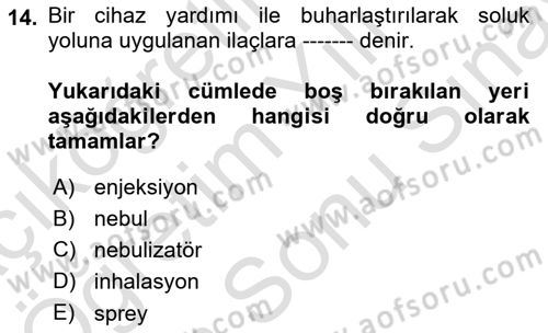 Yaşlı Bakımı İlke Ve Uygulamaları Dersi 2021 - 2022 Yılı (Final) Dönem Sonu Sınav Soruları 14. Soru